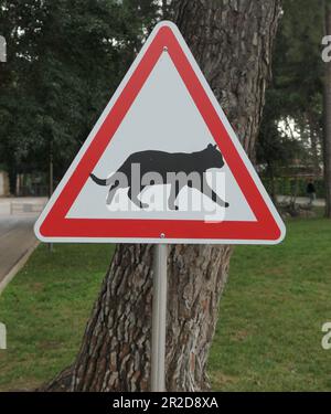 Cartello di avvertimento gatti nel parco della città Foto Stock