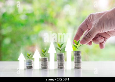 Primo piano delle monete impilabili a mano dell'uomo d'affari con sfondo bokeh verde, Business Finance e Money Concept. Alberi che crescono su monete. investimento a gro Foto Stock