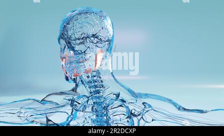 Anatomia delle ghiandole salivari umane, bocca digestiva umana, sublinguale, submandibolare e parotide, produzione di saliva attraverso un sistema di dotti, sotto Foto Stock