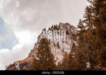 la vista panoramica rivela picchi sbalorditivi che si illuminano nell'ora d'oro. Foreste serene e montagne maestose creano un'atmosfera tranquilla e tranquilla. Foto Stock