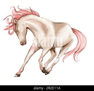 Bello, carino, unicorno bianco con ali rosa. Cavallo per vivaio, doccia bambino, invito per festa di compleanno. Acquerello vintage disegnato a mano Foto Stock