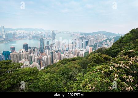 Hong Kong SAR, Cina - Aprile 2023: Skyline della città visto da Lugard Road sul Victoria Peak. Magnificent alto edificio architettonico e insediamento di Hong Kong Foto Stock