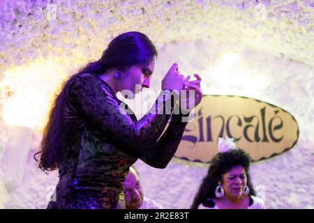 Spagna, Andalusia, Granada, Sacromonte, ballerina di flamenco che si esibisce in un ambiente di grotta Foto Stock