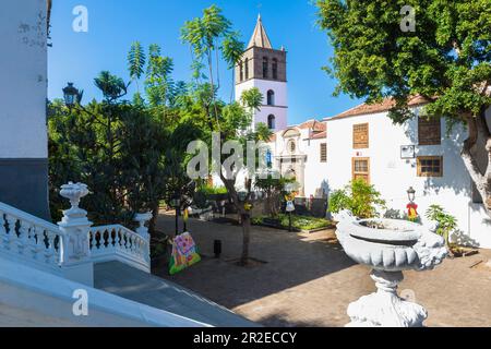 Città di Icod de los Vinos Chiesa, Tenerife, Isole Canarie, Spagna Foto Stock