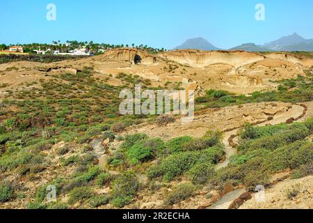 Riserva ambientale San Blas, San Miguel de Abona, Tenerife, Isole Canarie, Spagna Foto Stock