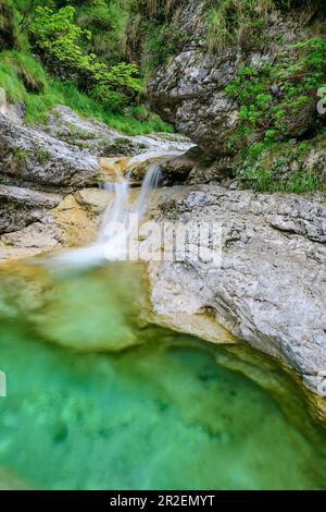 Cascata dei Cadini del Brenton, Valle del Mis, Parco Nazionale delle Dolomiti Bellunesiane, Dolomiti, Patrimonio dell'Umanità dell'UNESCO, Veneto, Italia Foto Stock