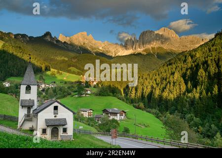 Cappella di San Zyprian con gruppo di roseti, St. Zyprian, roseto, Dolomiti, Dolomiti patrimonio dell'umanità dell'UNESCO, Alto Adige, Italia Foto Stock