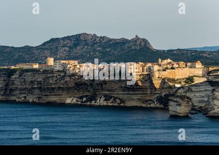 Costa ripida e scogliere calcaree, Bonifacio, Corse-du-Sud, Corsica, Francia Foto Stock