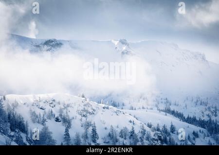 Paesaggio invernale innevato e nebbia nei monti Karwendel, Pertisau, Tirolo, Austria Foto Stock