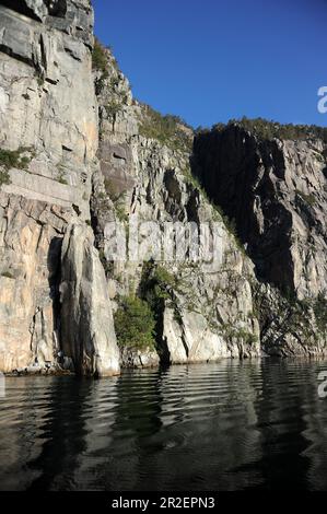 Vela lungo Lysefjord. Foto Stock