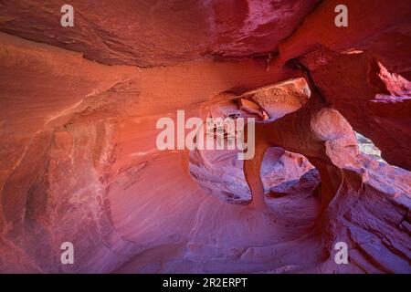 Windstone Arch grotta con formazioni rocciose rosse nella Valle del fuoco, USA Foto Stock