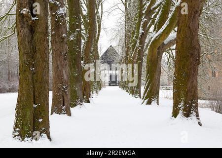 Kastanienallee in inverno al castello ormeggiato Haus Kemnade, vicino a Hattingen, zona della Ruhr, Renania settentrionale-Vestfalia, Germania Foto Stock