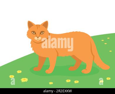 Gatto rosso che cammina all'aperto in un prato verde. Animale domestico animale domestico animale domestico animale domestico disegno piano Illustrazione Vettoriale