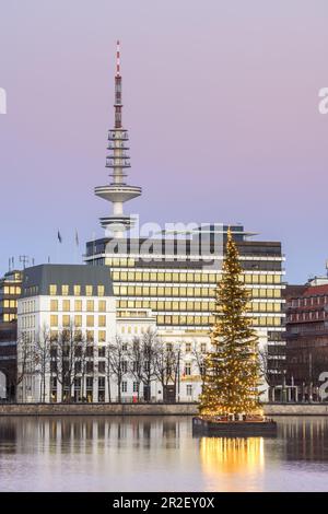 Albero di Natale sul Alster interno, Città Vecchia, libera città anseatica di Amburgo, Germania del Nord, Germania, Europa Foto Stock