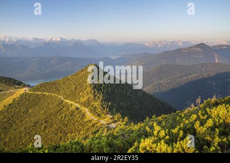 Vista dall'Herzogstand (1731 m) nelle Prealpi Bavaresi fino a Martinskopf sul Walchensee fino ai Monti Karwendel e Wetterstein, Kochel am se Foto Stock
