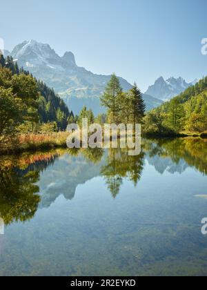 Lago Di Col De Montets, Aiguille Verte, Monte Bianco, Alta Savoia, Francia Foto Stock