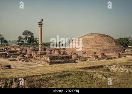 12 19 2014 colonna d'Ashoka vintage a Kutagarshala strutture in mattoni a Vaishali Bihar India sito buddista Foto Stock