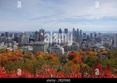 Vista di Montreal da Mont Royal, Quebec, Canada Foto Stock