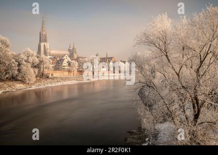 Ulm Minster, città vecchia di Ulm sul Danubio con la neve, Baden-Württemberg, Germania Foto Stock