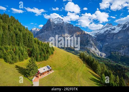 Alm con Wetterhorn e Schreckhorn, Grindelwald, Oberland Bernese, Canton Berna, Svizzera Foto Stock