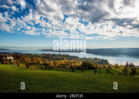 Vista sul Lago di Costanza in autunno, di fronte al Castello di Spetzgart, nella catena alpina posteriore, vicino a Überlingen, Lago di Costanza, Baden-Württemberg, Germania Foto Stock