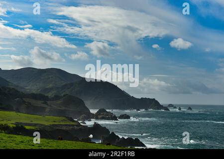 La costa del Pacifico si affaccia sull'autostrada 1 e sul ponte Bixby a Carmel Highlands, California, USA Foto Stock