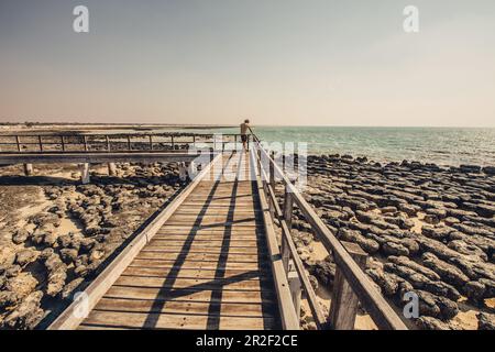 Uomo alla riserva naturale marina di Hamelin Pool a Sharkbay nell'Australia Occidentale, Australia, Oceania; Foto Stock