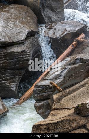 Una splendida cascata nella natura selvaggia del Colorado che precipita in un canyon. Foto Stock