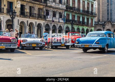 Diverse auto classiche, l'Avana, Cuba Foto Stock