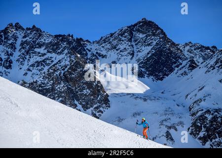 Donna in scialpinismo sale a Hennesiglkopf, Langtauferer tal, Alpi Ötztal, Alto Adige, Italia Foto Stock