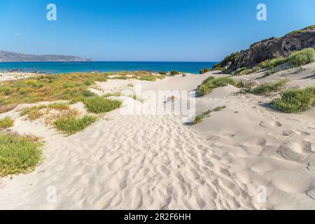 Dune di sabbia sulla penisola di Elafonisi sulla spiaggia di Elafonissi con sabbia rosa, a sud-ovest di Creta, Grecia Foto Stock