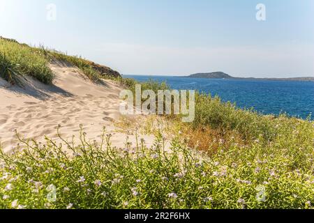 Dune di sabbia sulla penisola di Elafonisi sulla spiaggia di Elafonissi con sabbia rosa, a sud-ovest di Creta, Grecia Foto Stock