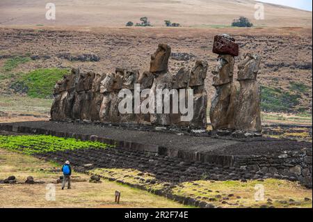 Una persona in primo piano è nana da un gruppo di moais in piedi su una pietra cerimoniale, o ahu, risalente tra il 1250 e il 1500, Rapa Nui, Pasqua Foto Stock