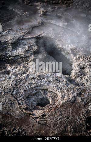 El Tatio geyser, il Deserto di Atacama, Regione di Antofagasta, Cile, Sud America Foto Stock