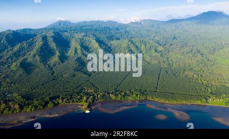 Walindi Plantation Resort, Kimbe Bay di New Britain, Papua Nuova Guinea Foto Stock