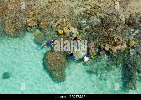Snorkeling sulla barriera corallina di Lissenung, Nuova Irlanda, Papua Nuova Guinea Foto Stock