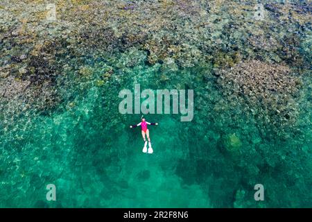 Snorkeling sulla barriera corallina di Lissenung, Nuova Irlanda, Papua Nuova Guinea Foto Stock