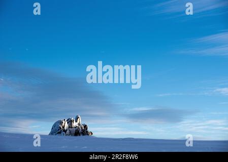 Wintry Ramshead Range nel Parco Nazionale di Kosciuszko, NSW, Australia Foto Stock