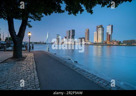 Vista del Ponte Erasmus e dello skyline presso il terminal delle navi da crociera di Rotterdam, Paesi Bassi, durante l'ora blu sul New Maas. Foto Stock