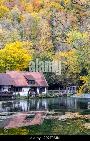 Blautopf, sorgente carsica, storico mulino a martelli con ruota ad acqua, Albo Svevo con alberi in foglie autunnali, Blaubeuren, Baden-Wuerttemberg, Germania Foto Stock