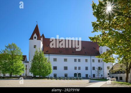 Nuovo castello a Ingolstadt, Ingolstadt, il sentiero ciclabile del Danubio, l'alta Baviera, Baviera, Germania Foto Stock