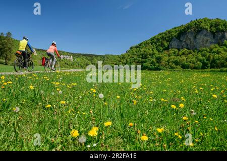 Uomo e donna cavalcano una bicicletta attraverso la Valle del Danubio, la Valle del Danubio, la pista ciclabile del Danubio, Baden-Württemberg, Germania Foto Stock