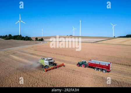 Raccolto di grano nel Giura svevo, farro, mietitrebbia Claas Lexion 770, turbine eoliche all'orizzonte, foto drone, Amstetten Foto Stock