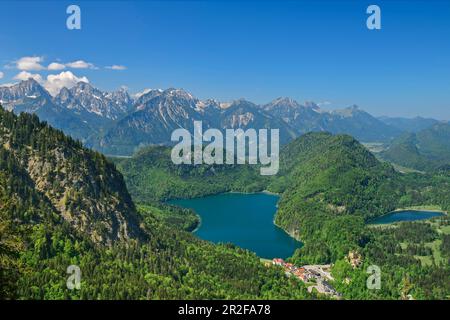 Vista profonda di Alpsee e Schwansee, Monti Tannheim sullo sfondo, da Tegelberg, Alpi Ammergau, Svevia, Baviera, Germania Foto Stock