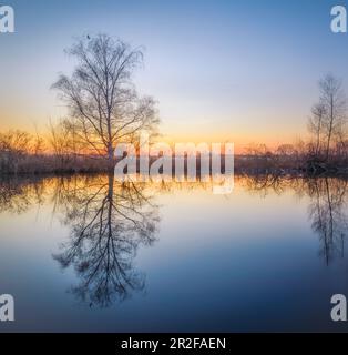 Area di protezione della natura Reinheimer Teiche, Darmstadt Dieburg, Hessen, Germania Foto Stock