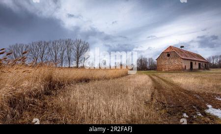 Area di protezione della natura Reinheimer Teiche, Darmstadt Dieburg, Hessen, Germania Foto Stock