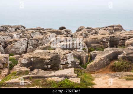 Capo "Cabo Carvoeiro" in nebbia leggera, Peniche, Portogallo Foto Stock