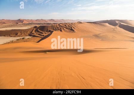 Vista dalla grande duna daddy sul paesaggio delle dune alla luce del mattino, Sossusvlei, Sesriem, Namibia Foto Stock