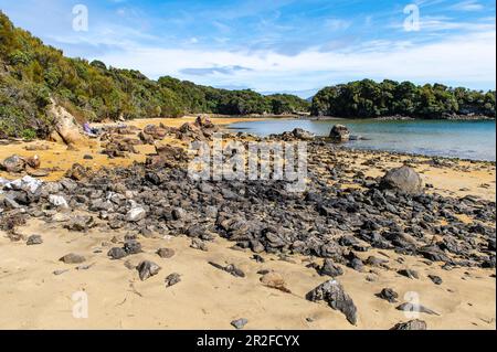 Westend Beach, Ulva Island, South Island, Nuova Zelanda Foto Stock