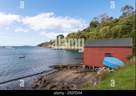 Halfmoon Bay, Oban, Stewart Island, South Island, Nuova Zelanda Foto Stock